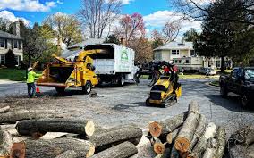 Best Tree Health Inspection  in Slatington, PA